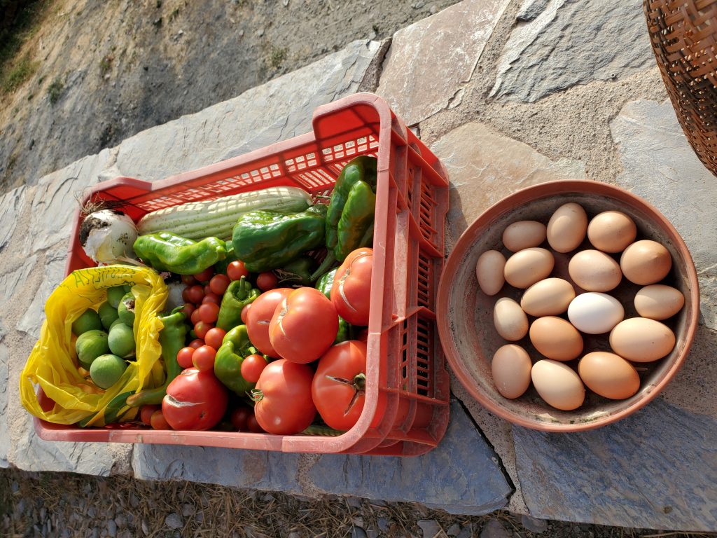 Produce from the cortijos.