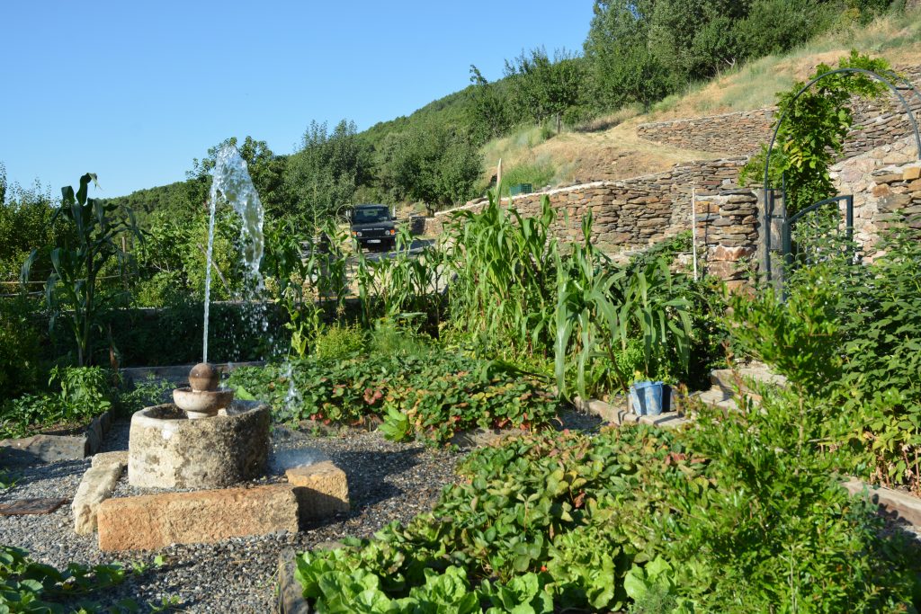 Our vegetable garden at cortijos rey fini.